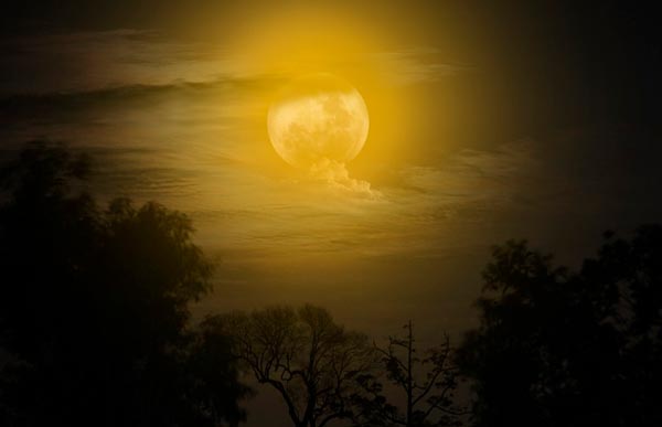 Образ и характеристика кузнеца Вакулы в повести Ночь перед Рождеством Гоголя 5 класс сочинение