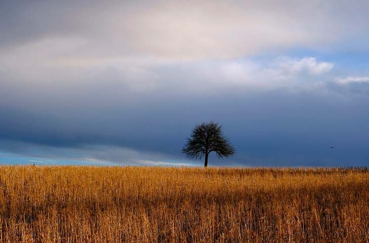 Сочинение Тарас Бульба - характер, рожденный временем