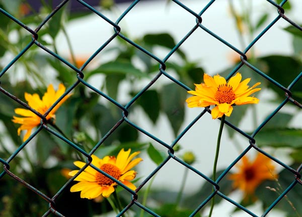 Челкаш и Гаврила сравнительная характеристика в рассказе Челкаш Горького