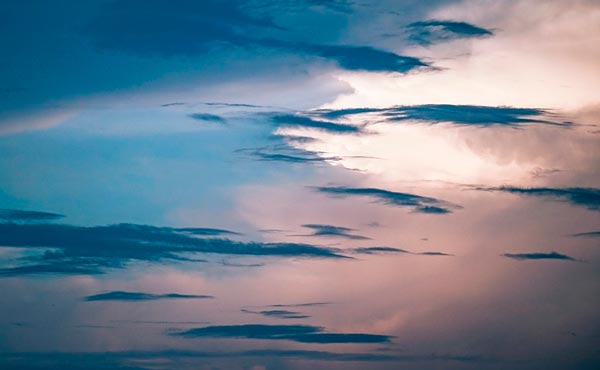 Характеристика и образ Челкаша в рассказе Горького Челкаш сочинение