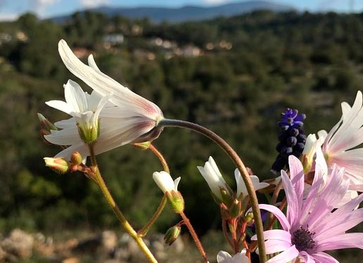 Образ и характеристика Гаврилы в рассказе Челкаш Горького