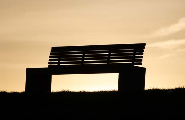 Образ и характеристика Сережи из рассказа Белый пудель Куприна сочинение