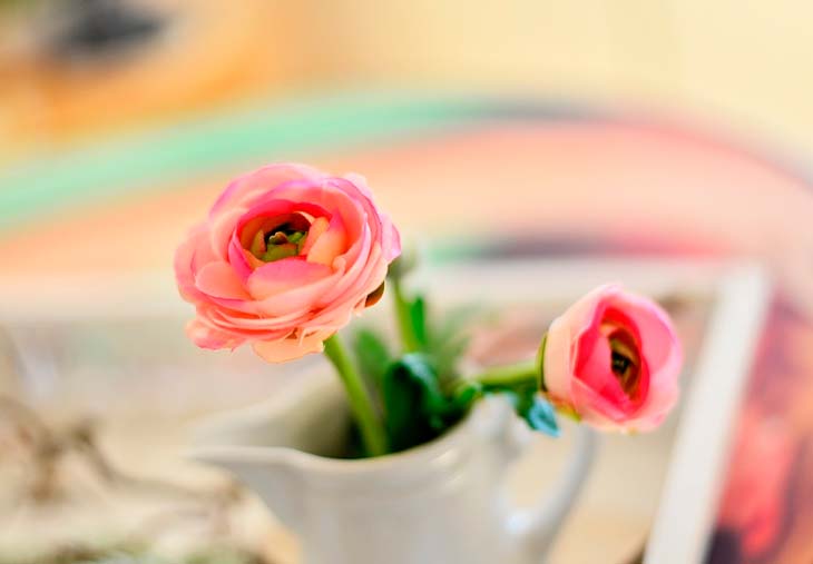 Сочинение на тему Русский язык в современном мире