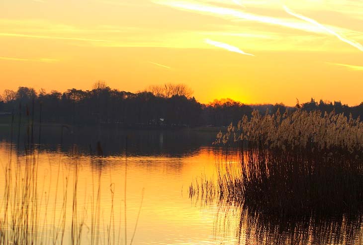 Дядя Хвост в рассказе Тургенева Муму - сочинение