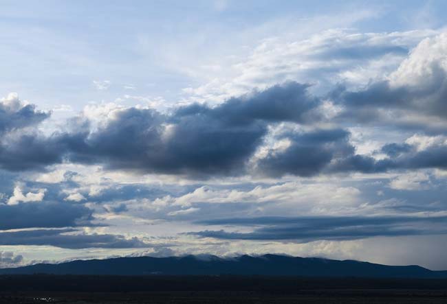 Сочинение Образ Моргача в рассказе Певцы Тургенева